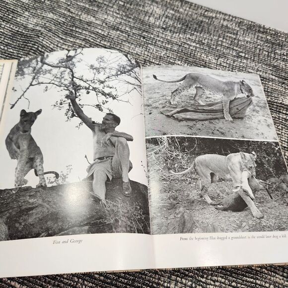 Born Free hardback with dust jacket - Picture 8 of 8